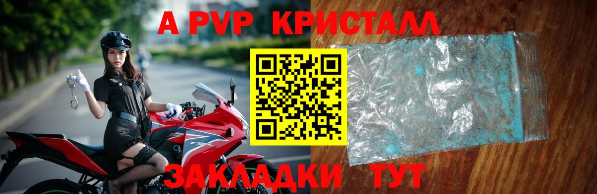 A PVP СК КРИС Зеленокумск
