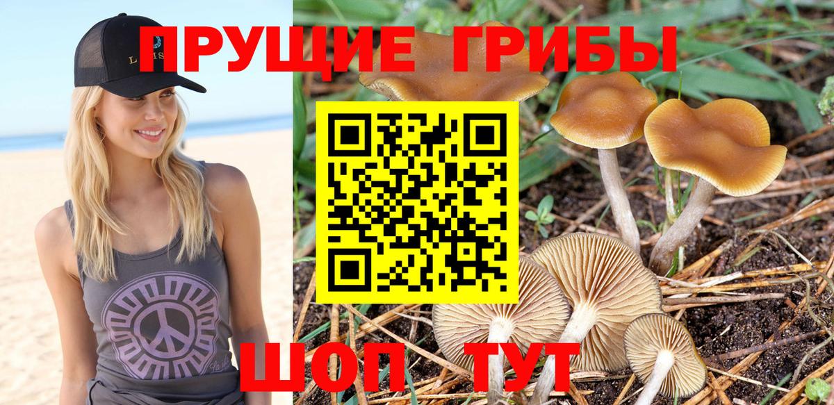 Псилоцибиновые грибы ЛСД  цена   Зеленокумск  Вход с VPN 