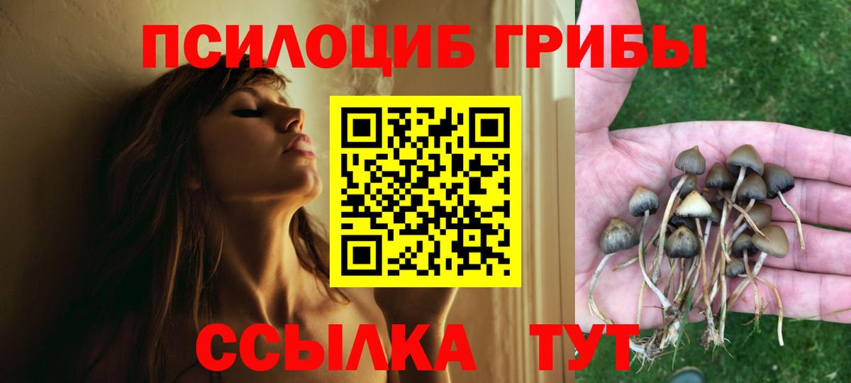 Псилоцибиновые грибы мицелий Зеленокумск